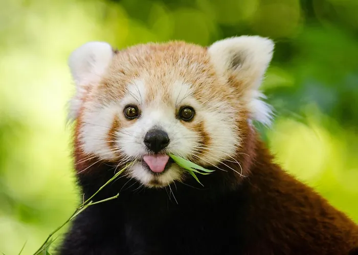 Inn-the Niu, Wave Oststadt By Ihg 호텔 카를스루에